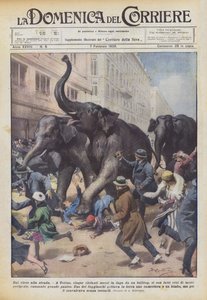 Fra sirkus til gata