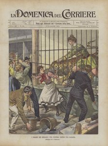 The Dramas Of Menageries, A Panther Against A Girl