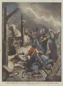 Lynets luner inne i en stall i CastellAlfero (provinsen Alessandria), lander og gjør vondt?