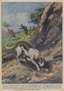 Hunden som redder eieren