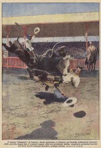 Den berømte Calgary Stampede