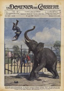 Den andre forbrytelsen av pachyderm