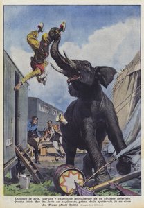 Kastet opp i luften, overkjørt og trampet i hjel av en sint elefant