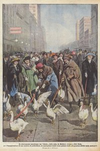 Amerikanske utskeielser, et Geese Derby, på Madison Avenue i New York, til innvielsen? av Achille Beltrame