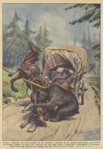 Bjørnen? brigand