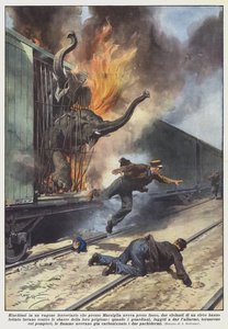 Låst inn i en jernbanevogn som hadde tatt fyr i nærheten av Marseille, to elefanter? av Achille Beltrame