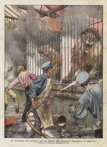 A Fire in the Wild Beasts Allotment i Berlin Zoological Garden (farge litho) av Achille Beltrame