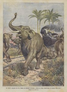 En trenc angrepet av en mengde ville elefanter langs Assam-jernbanelinjen (Indo-Kina)