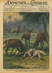 En urbefolkningsagent for det indiske politiet, brøt seg inn i hjorteinnhegningen i Zoological Garden?