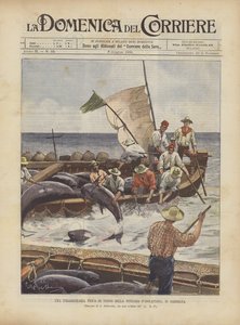 Et ekstraordinært tunfiskfiske i Tonnara DIsolapiana, på Sardinia