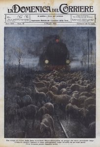 Et slakt av sau