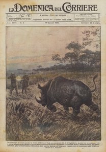 Et storviltjakteventyr i Afrika av Achille Beltrame
