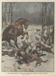 Gammel herremann angrepet av en flokk sultne ulver mens han syklet i en skog i Ungarn av Achille Beltrame