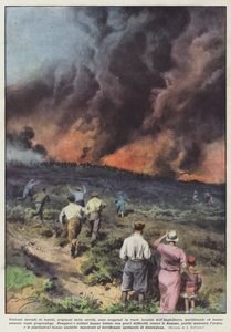 Har det brutt ut voldsomme skogbranner, som stammer fra tørke, forskjellige steder?