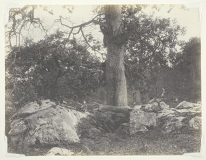 Skog og steiner, Fontainebleau av Achille Quinet