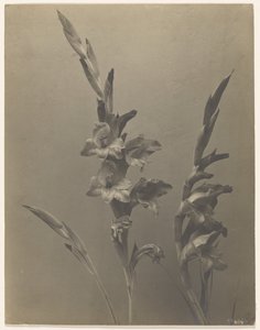  av Achille Quinet
