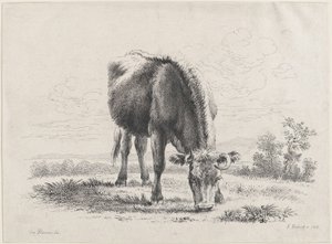 Kubeite, 1805., 1805.