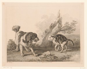 Hund og katt i kampstilling Dyr etter malerier av nederlandske mestere (serietittel) Différens animaux gravés d'après tableaux de différens maîtres hollandois (serietittel)