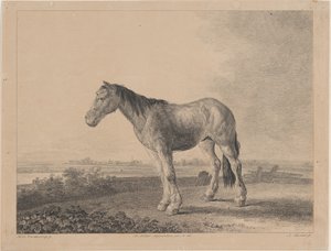 Hest stående på et felt i profil til venstre, 1809.