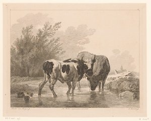 To kyr i en bekk Dyr etter malerier av nederlandske mestere (serietittel) Différens animaux graves d