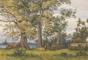 «Apiabukta, Upolu, Navigatorøyene, [Samoa] fra verandaen til mitt sykehjem, 6. november 1849»