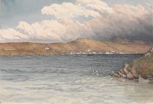 Bosetningen i Port Stanley, Falklandsøyene, mai 1849 (akvarell)