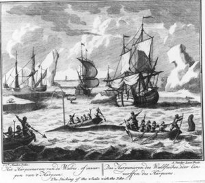  av Adolf van der Laan