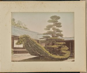 Furutre, Kinkakuji av Adolfo Farsari