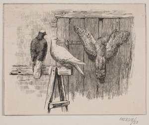 Duene av Johan Adolph Kittendorff