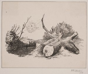 Ederkops av Johan Adolph Kittendorff