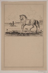 Hesten i vannet. Nei. 22 i Chr. Winther og M. Rørbye, "25 bilder for små barn" av Johan Adolph Kittendorff