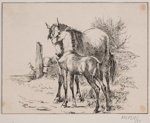 Hesten og føllet av Johan Adolph Kittendorff