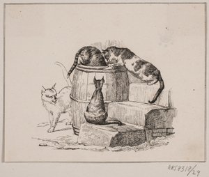 Kattene av Johan Adolph Kittendorff