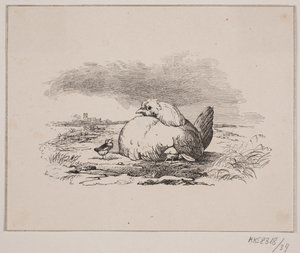 Kyllingene av Johan Adolph Kittendorff
