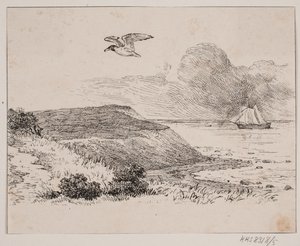 Måken av Johan Adolph Kittendorff