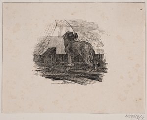 Puddelhunden av Johan Adolph Kittendorff