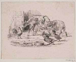 Babykalven av Johan Adolph Kittendorff