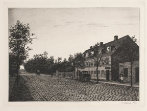 Gatefest i utkanten av København