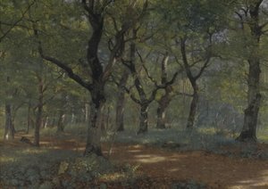 I skogen