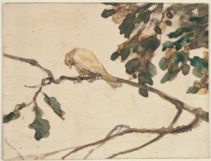 Kanarifugl på en eikegren (wc på papir) av Adolph Menzel