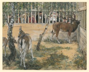 Damvilt i innhegningen. Fra «Barnealbumet» av Adolph Menzel