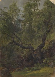  av Adolph Tidemand