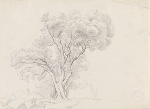  av Adolph Tidemand