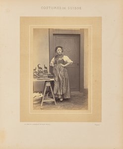 Kantonen Thurgau av Adolphe Braun