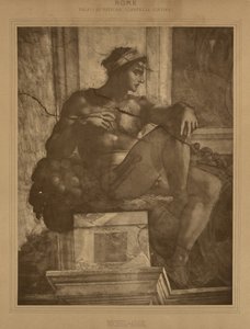  av Adolphe Braun