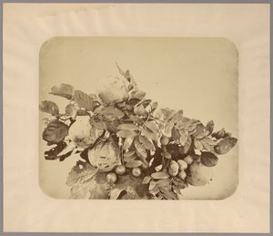Stilleben med kveder og bær av Adolphe Braun