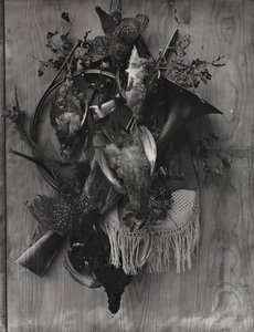 Trophy of the Hunt, ca. 1867. av Adolphe Braun