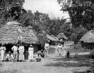 Innfødte hytter, Jamaica, c1905.