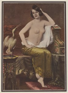 Favoritten, kvinne med en fugl (farge litho) av Adolphe Weisz