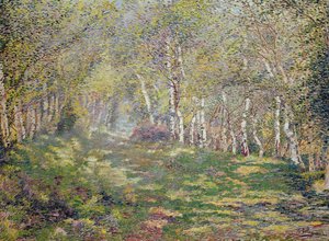 Sølvbjørker (olje på lerret) av Adriaan Josef Heymans